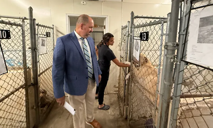 Animal shelter euthanasia rates reduced but overcrowding crisis looms