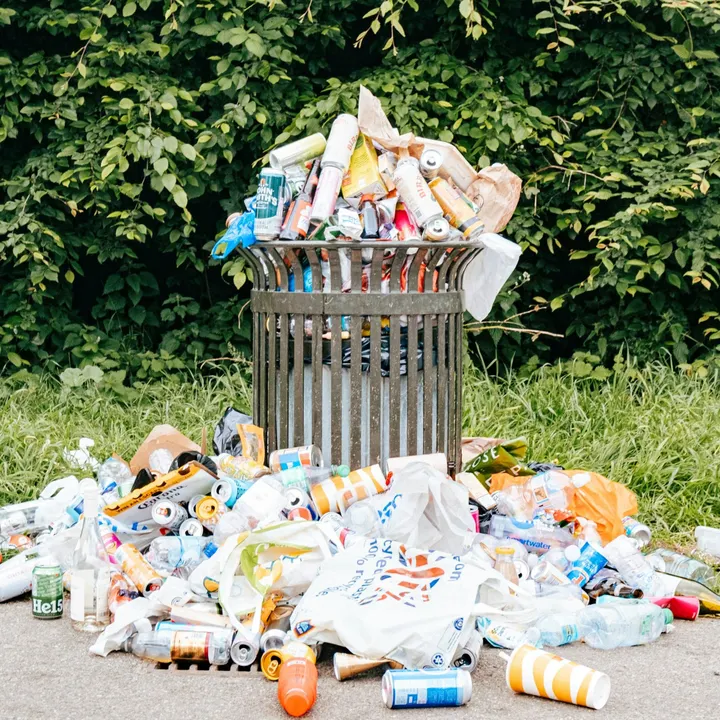 City investigates complaints trash hauler's service stinks