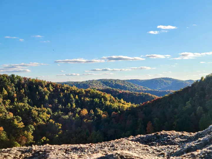 A victory for beauty