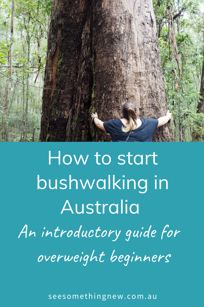 A guide to bushwalking for beginners