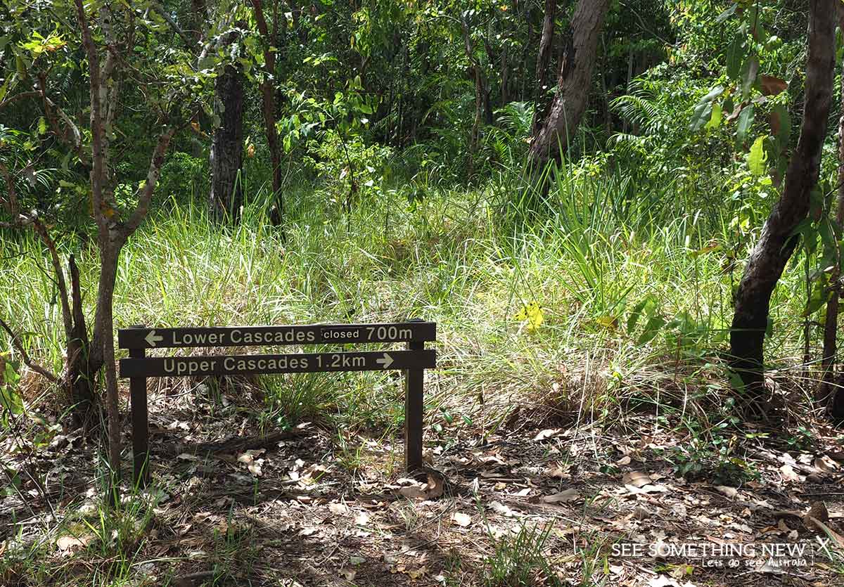 The Litchfield Upper Cascades walk track notes for See Something New Australian Travel Blog