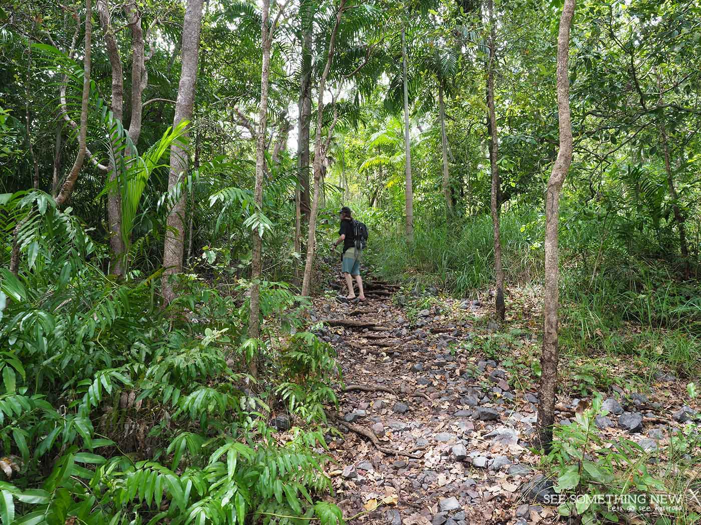 The track through Monsoon Forest on the Upper Cascades walk in Litchfield National Park on See Something New Australian Travel Blog
