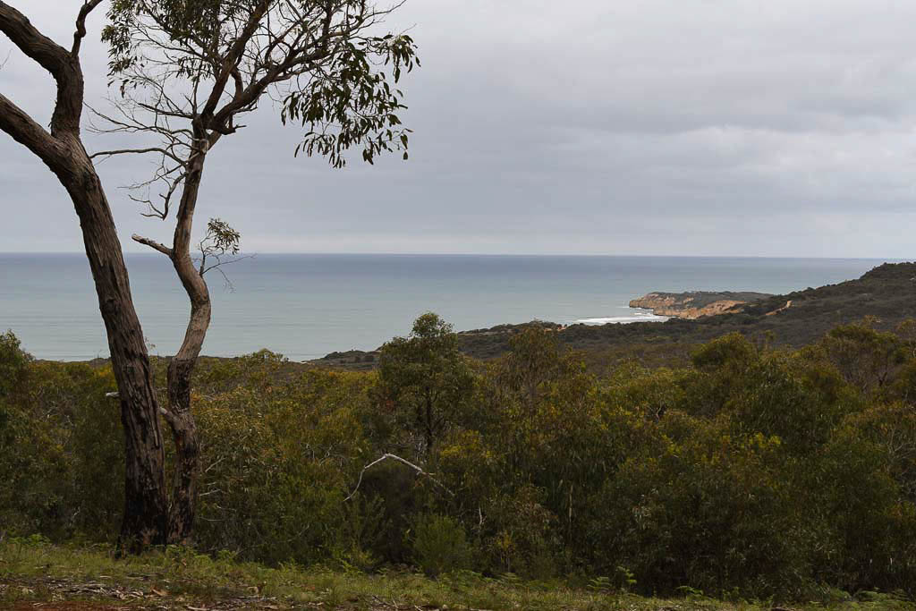 The 44km Surf Coast walk is a bushwalk along pristine coast, popular beaches and iconic towns of the Great Ocean Road. With 12 different sections you can choose the length and section of coast that suits you best! | By See Something New