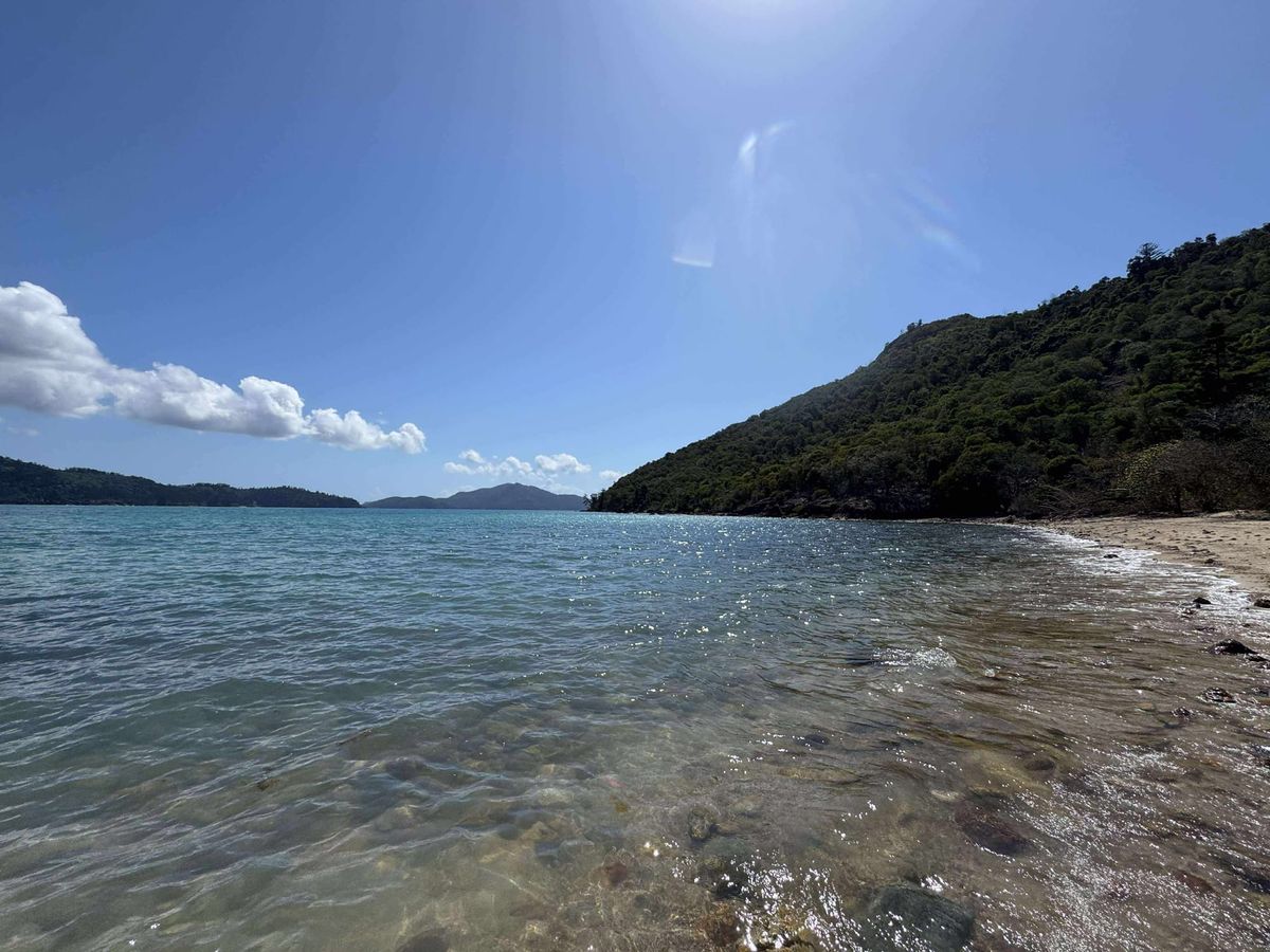 Hideaway Bay Hamilton Island Bushwalk