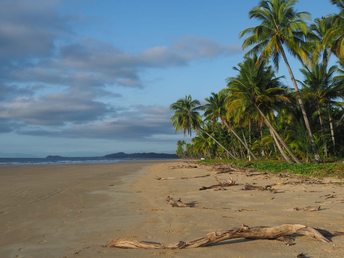 Things to do in Mission Beach