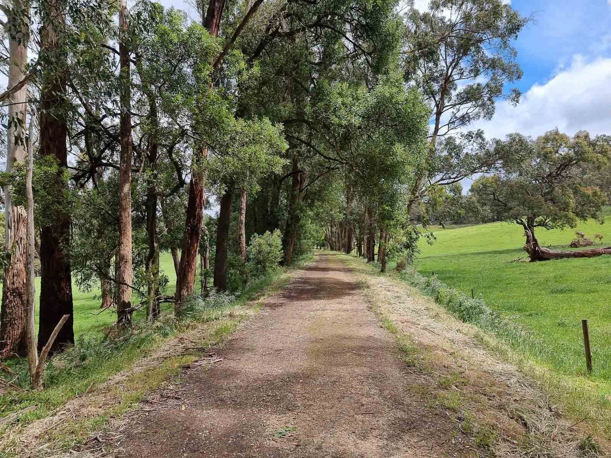 Tiger Rail Trail in Forrest Victoria