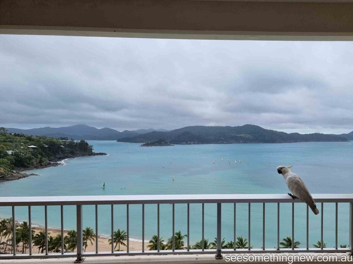 Reef View Hotel Stay - Review Notes & Photos