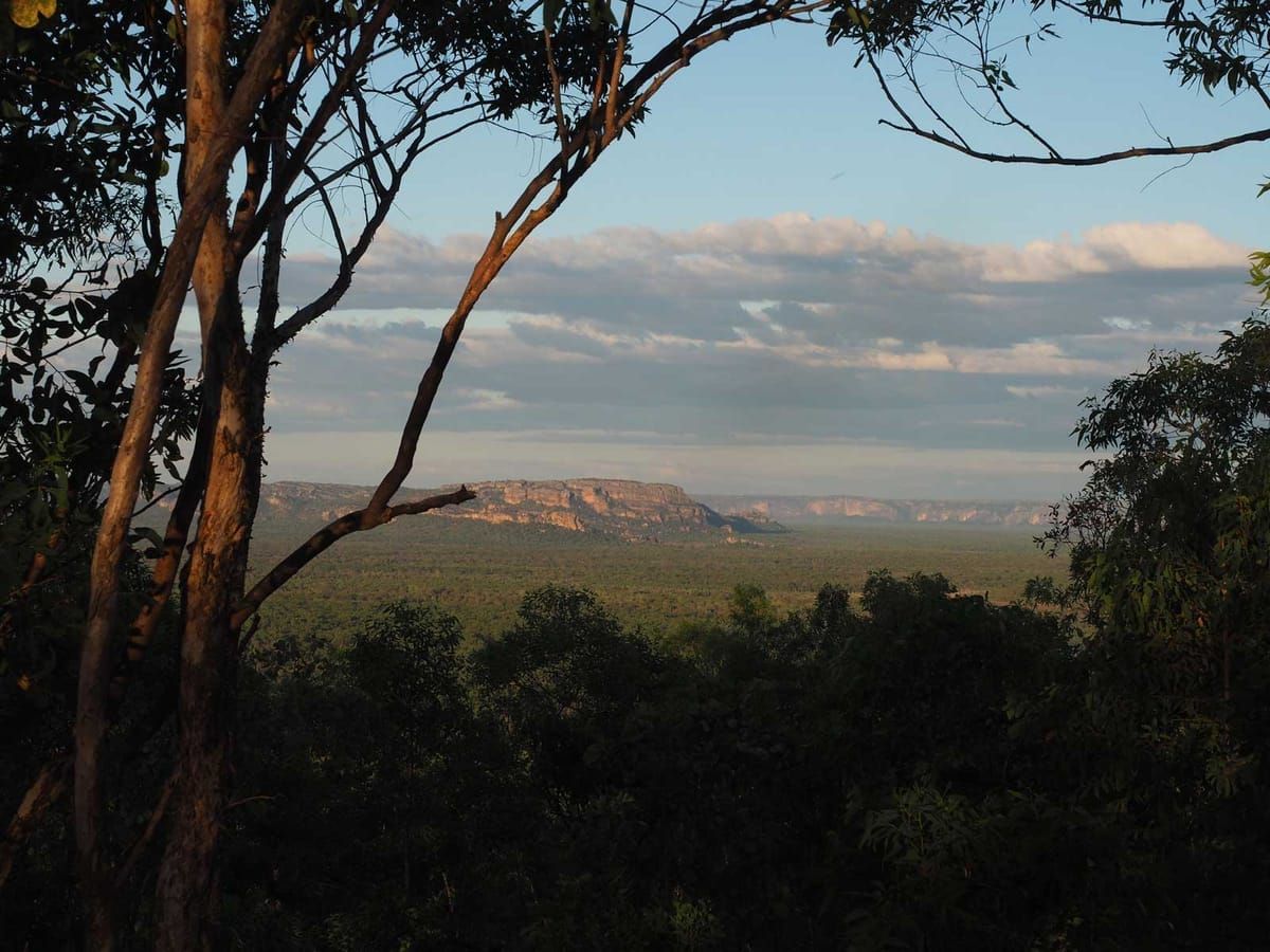 Kakadu Walks | Mirrai Lookout Track Notes