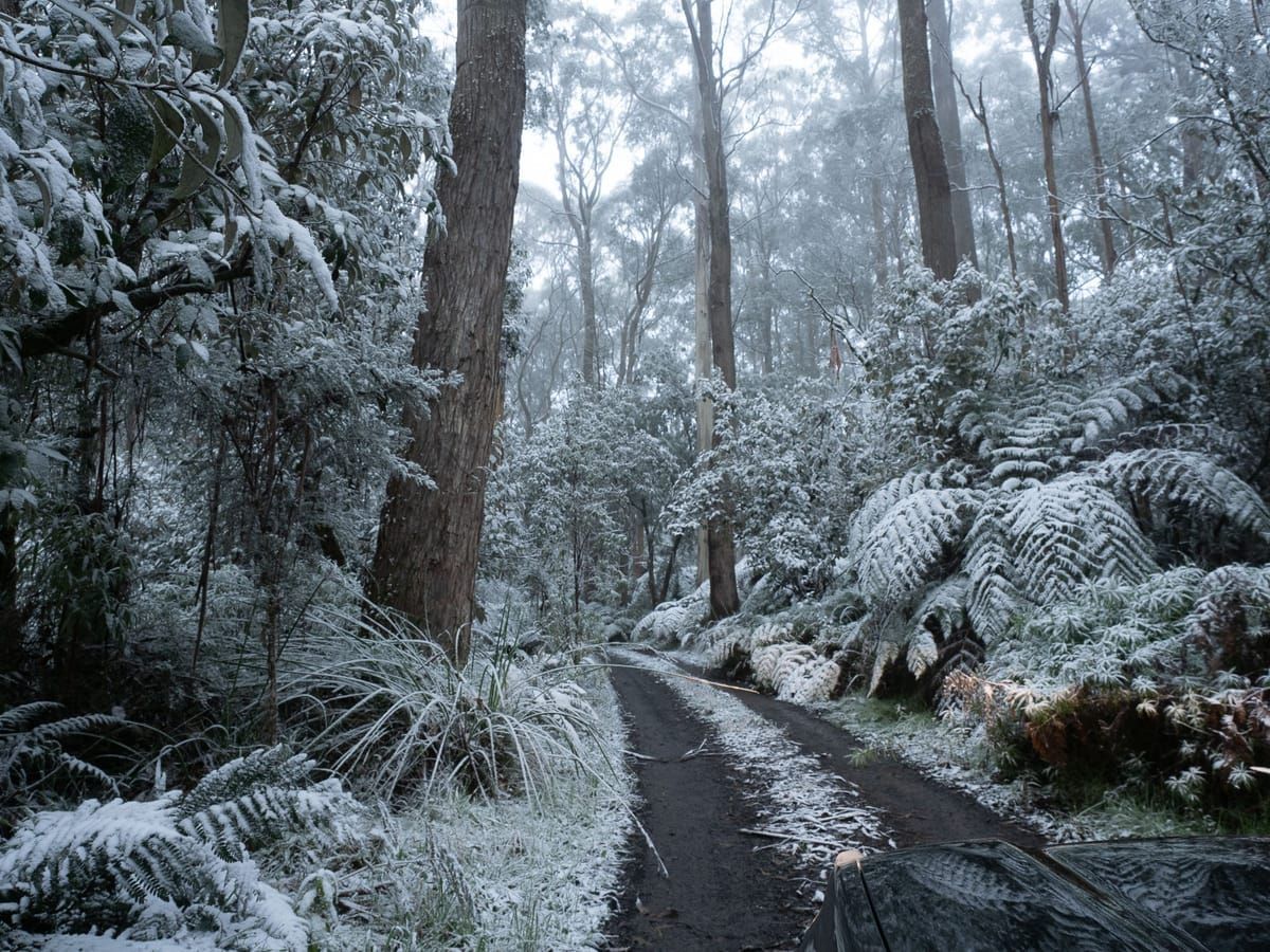 How and where to find snow in the Otways