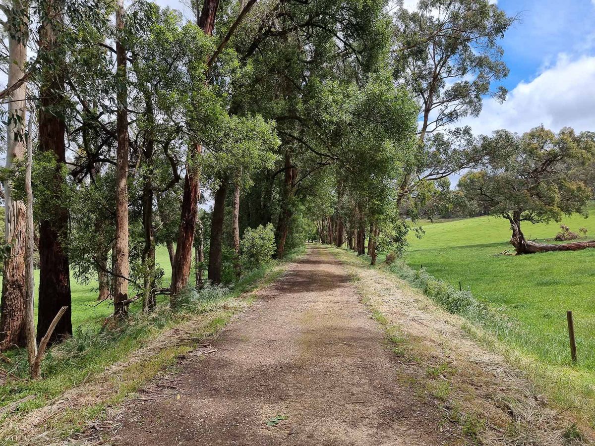 Fun Beginner Bike Rides in Victoria
