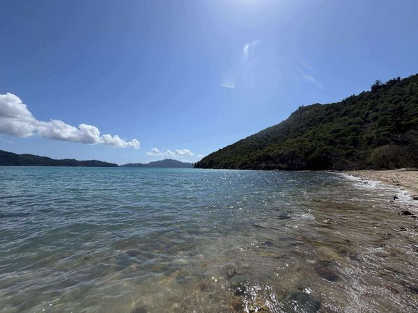 Hideaway Bay Hamilton Island Bushwalk