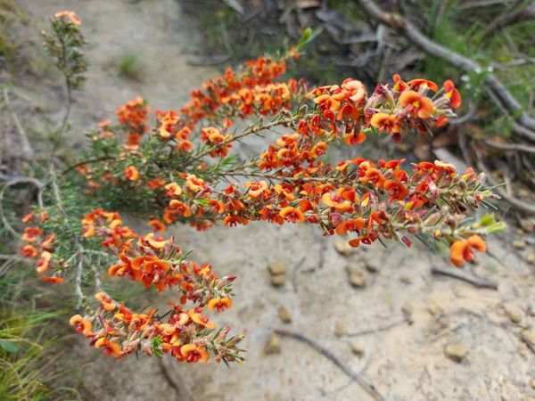 Where to buy Eco friendly in Geelong