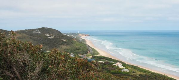 Ocean View Lookout Walks on the Great Ocean Road | Track Notes with Photos -  Dog Friendly