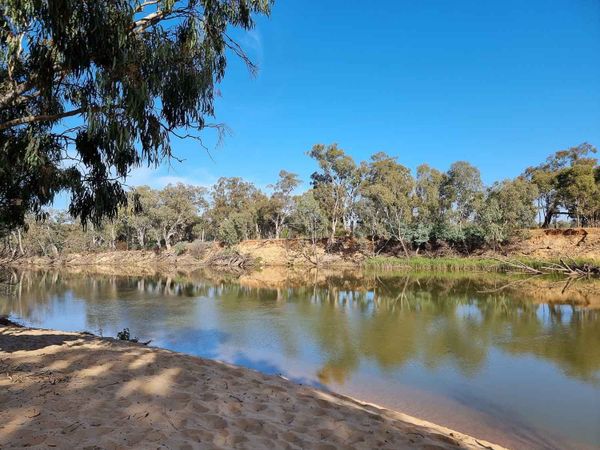 Wills Bend sandbar near Echuca - campground notes with photos