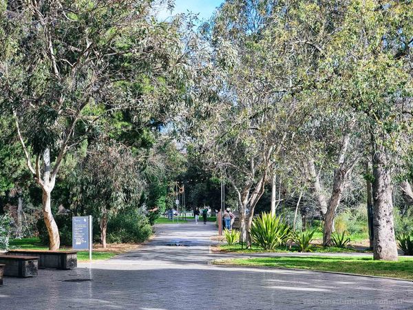 Adelaide Hotels with Indoor Pool