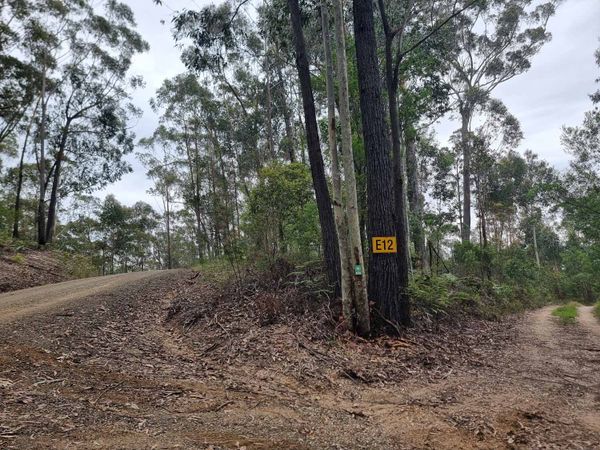 Bodalla State Forest