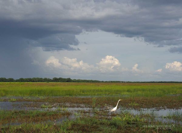 7 things to do in Kakadu Wet Season (November - May)