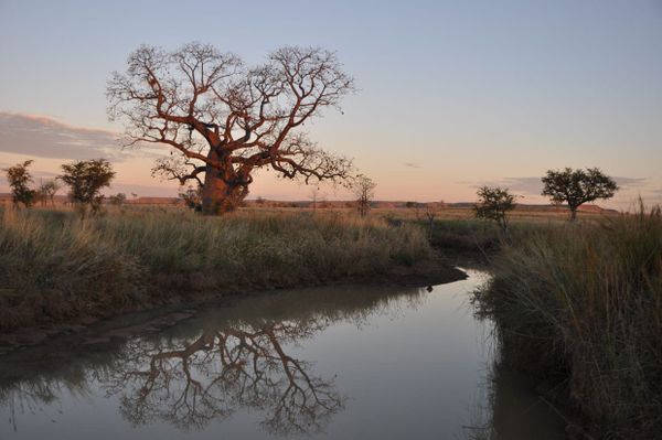 My favourite places & experiences in Australia (so far!)