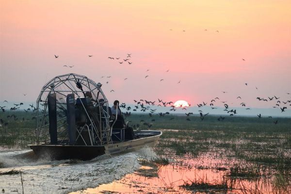 Image by Emma Pritchett curtesy of Wild Bush Luxury Media Pack 