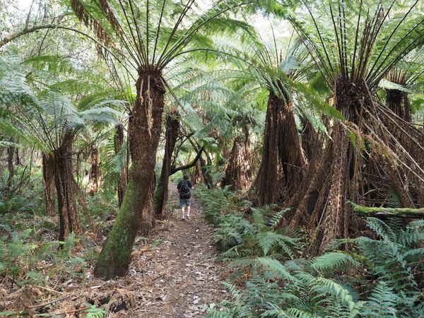 Visiting Australia's National Parks: How & When