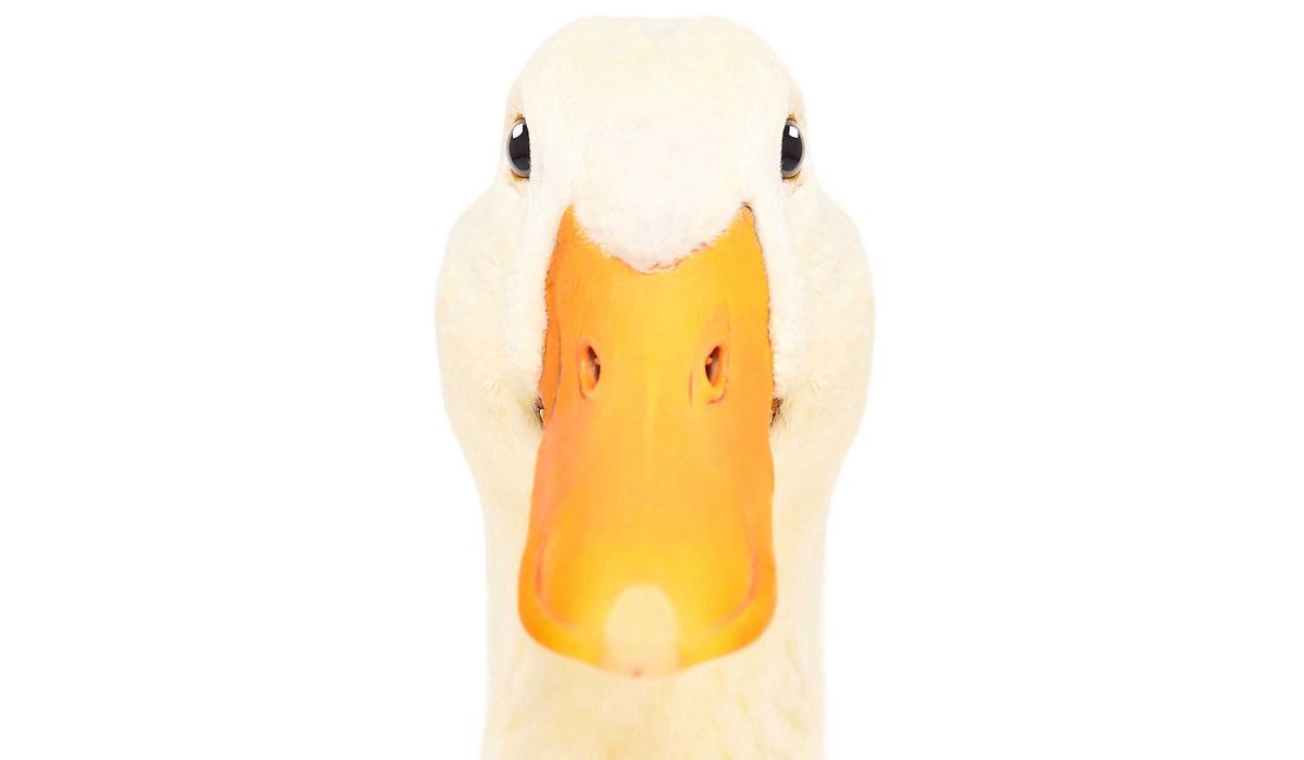 GTM is trying to sell AI like SaaS. It isn’t.