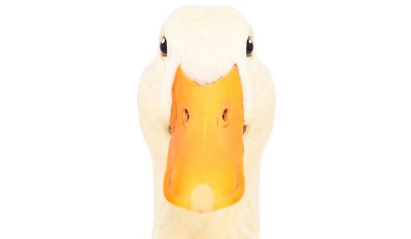 GTM is trying to sell AI like SaaS. It isn’t.