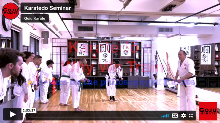 Karatedo Seminar 2022: Video Now Available