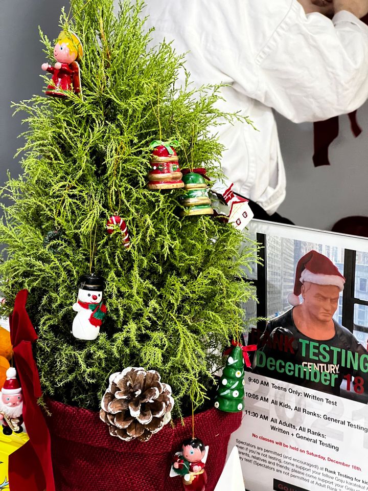 Christmas 2025 and New Year's Holiday Schedule