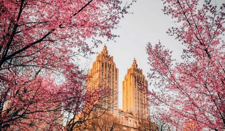 Ichi-go ichi-e — One Moment, One Meeting  一期一会