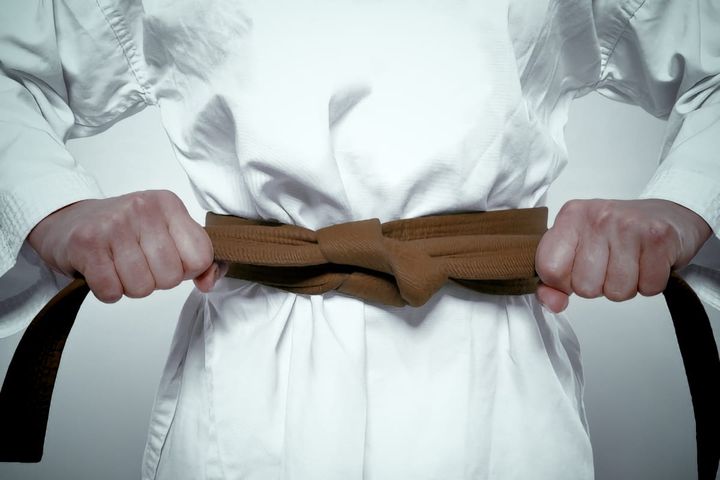 First Advanced Brown Belt Review Class 2026