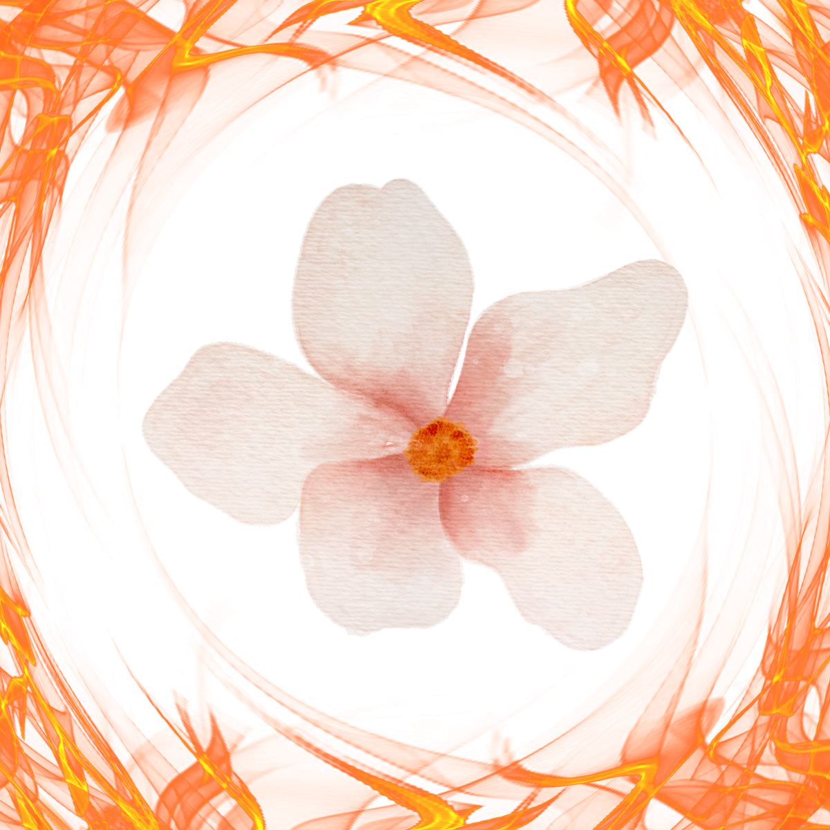 🌸 The Flower and Flame of Memorial Day