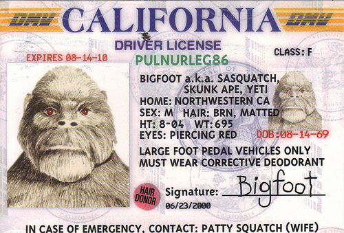 Your Internet Driver’s License