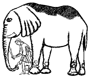 Of White Elephants and Gifting