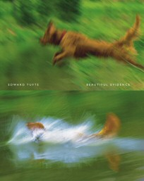 Reading with Edward Tufte