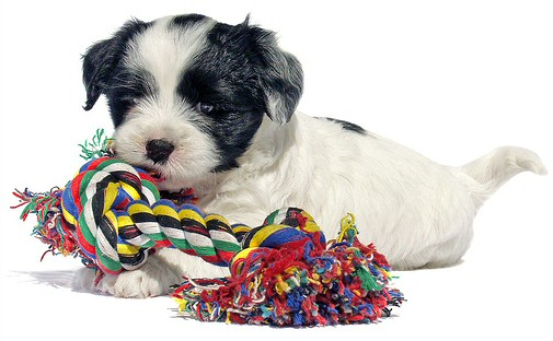 Open Source: Free as in “Free”