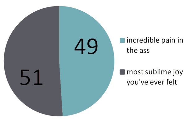 pie chart: 51% "most sublime joy you've ever felt", 49% "incredible pain in the ass"