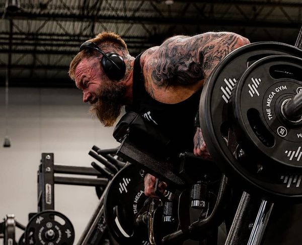 Rows: Torso first, then thorax, then grip.