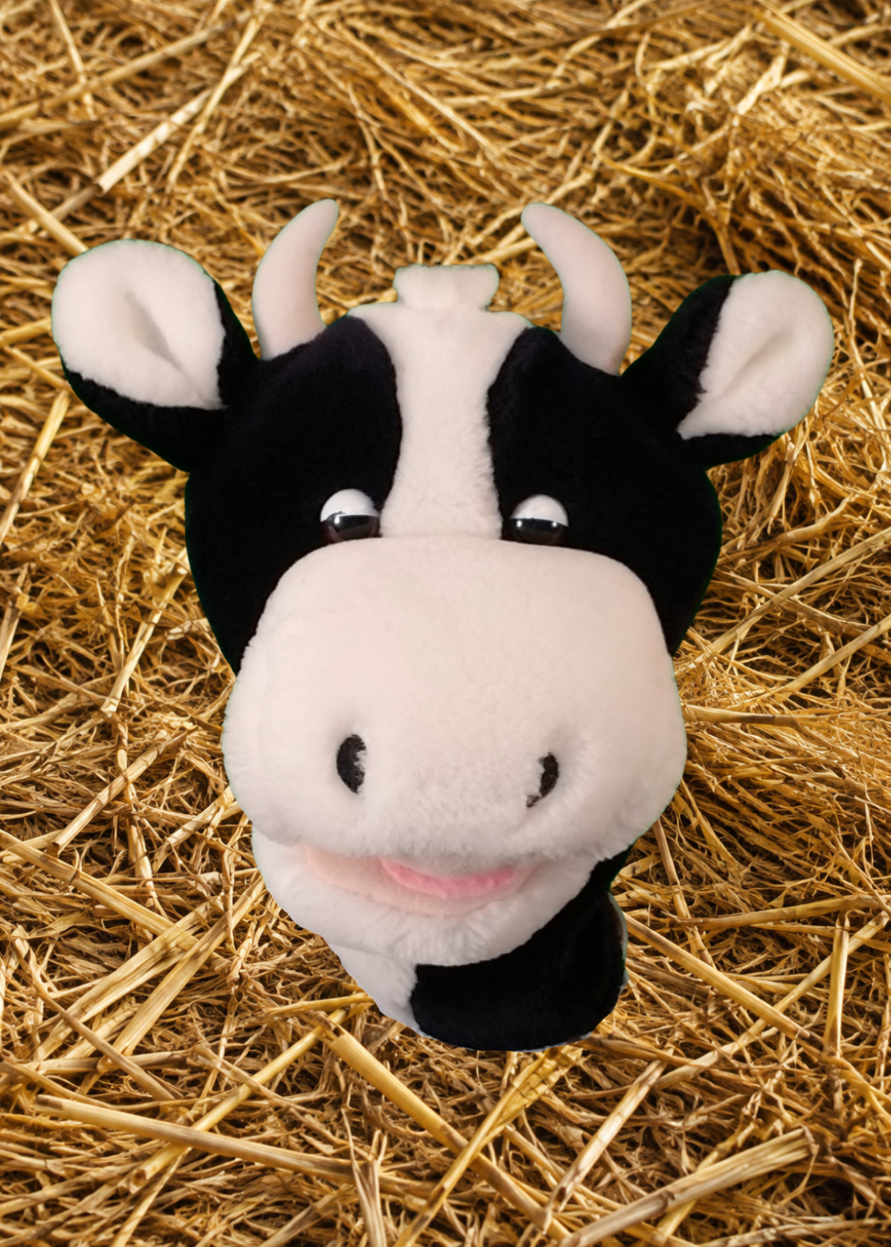 MaryBelle the Cow illustrated logo