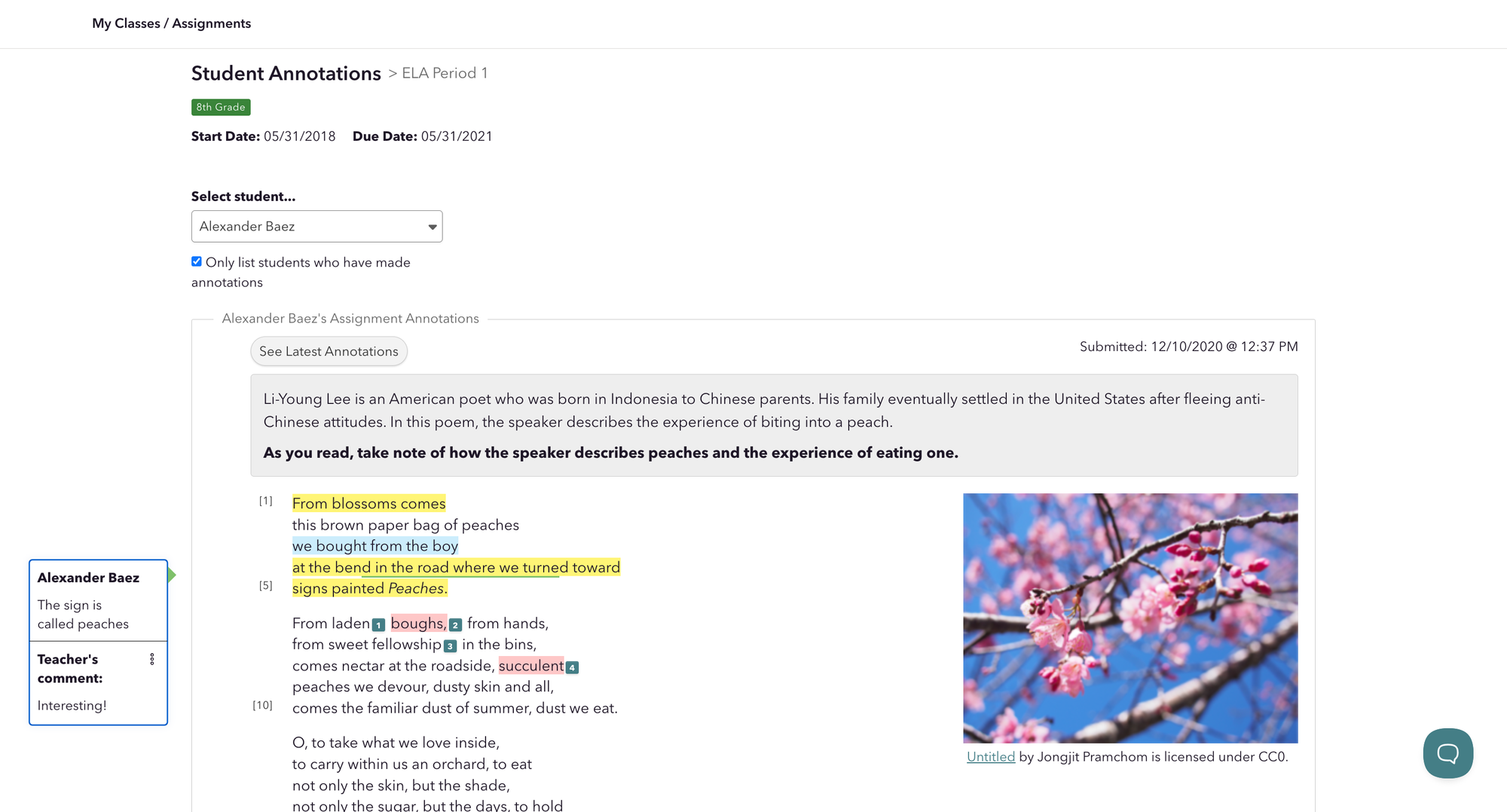 Teacher responses to student annotations on a CommonLit lesson.