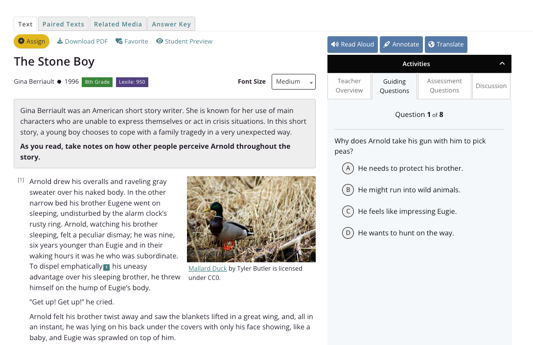 CommonLit text page for "The Stone Boy" by Gina Berriault, with the passage on the left and a multiple-choice question in the Activities panel on the right.