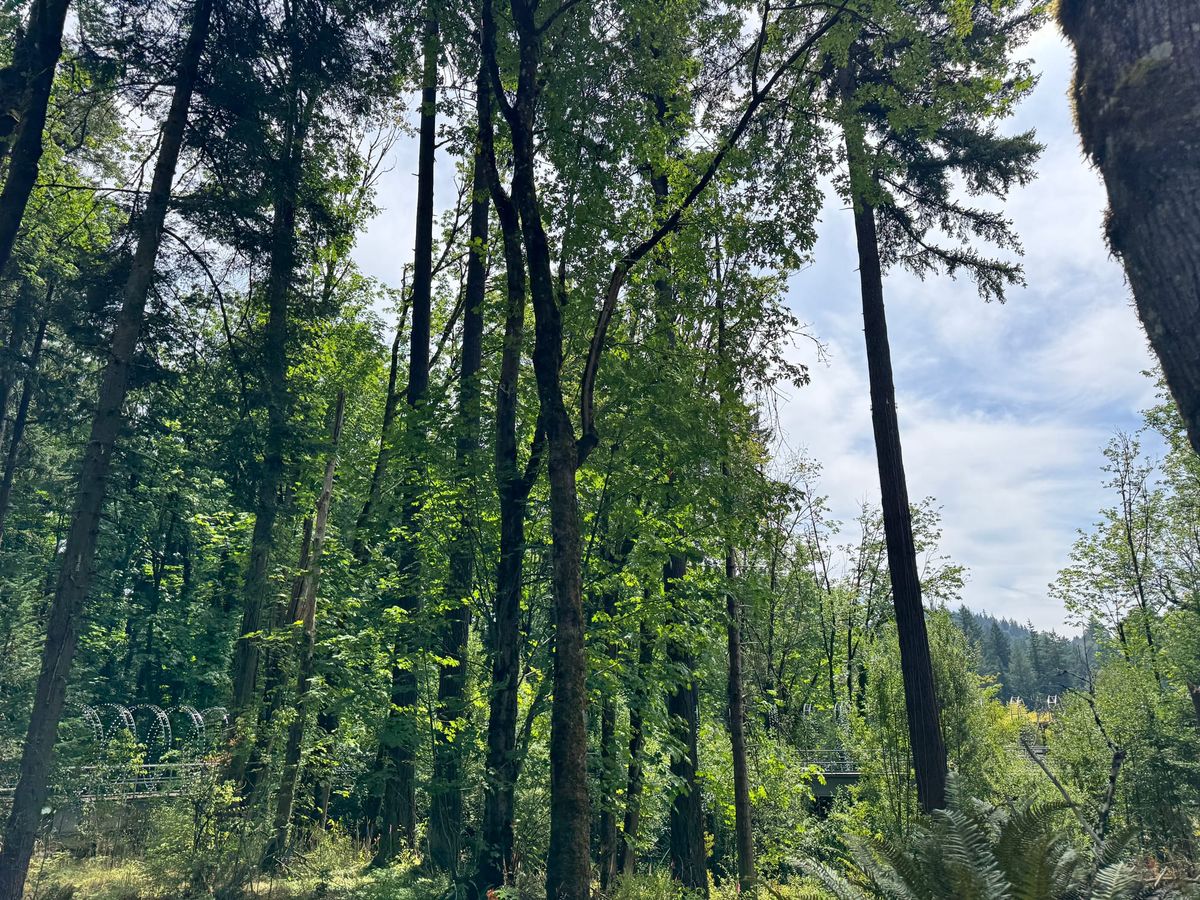 Zootopia: Day Two in Portland, Our Future Home