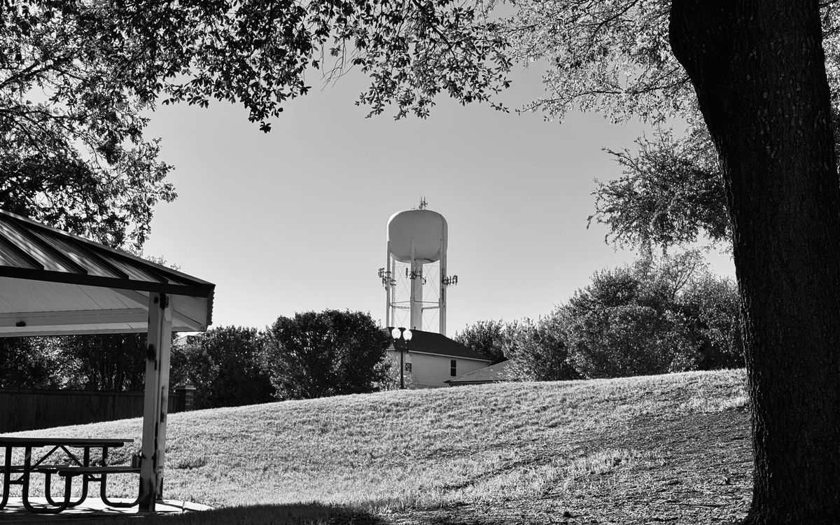 Crying in Bed, Reading in the Park, Writing Everywhere
