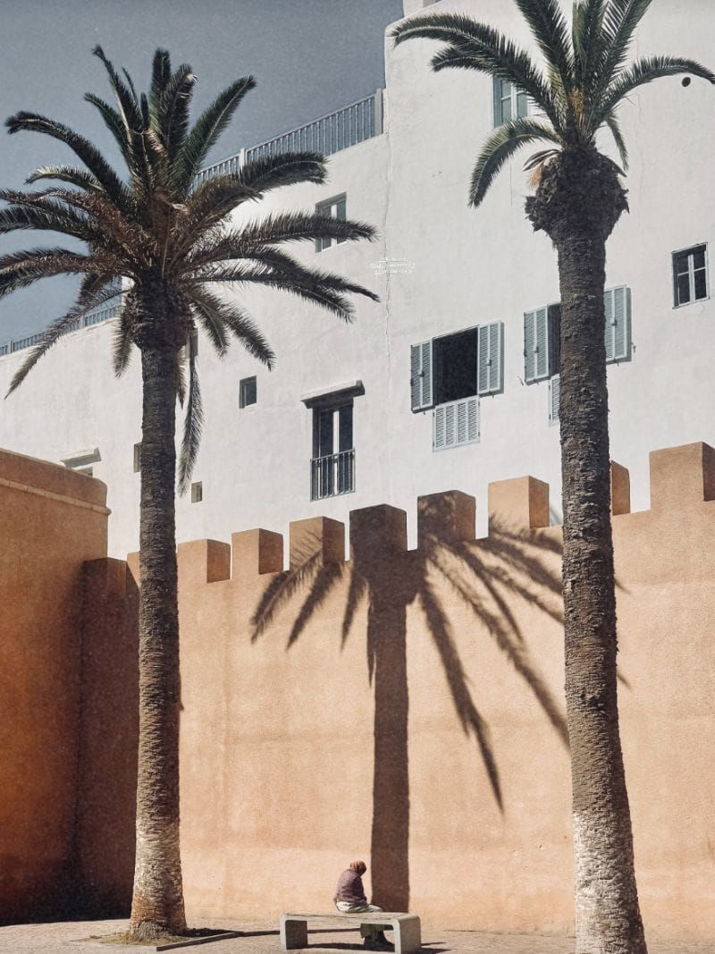 Marrakech to Essaouira Custom Trip