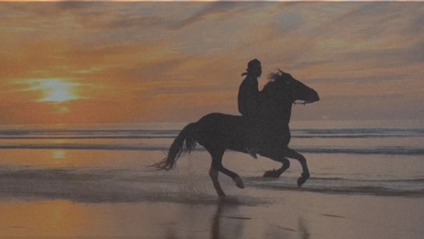 What Is The Best Time to Ride Horses In Essaouira?