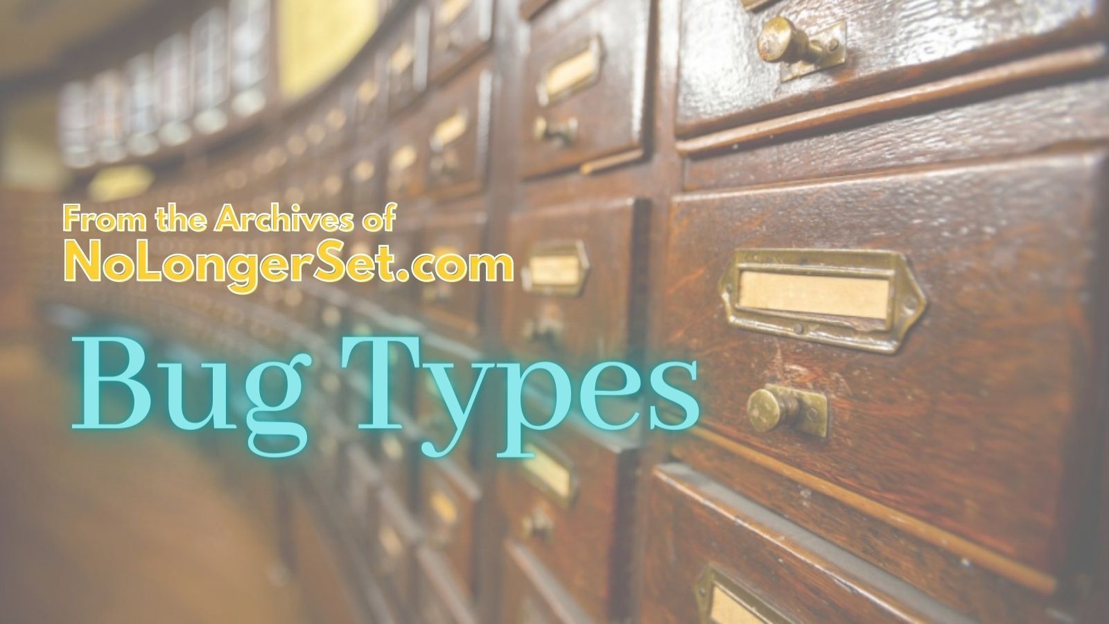 Archive Collection: Bug Types