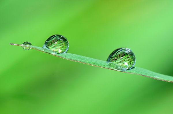 From Gibberish to Clarity