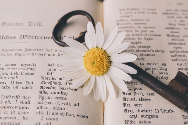 The Subtle Dictionary Key Bug