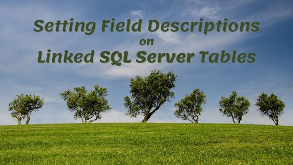 Setting Field Descriptions on Linked SQL Server Tables