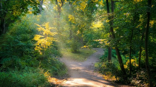 The Road Now Taken: Why AI Moved Me from Mercurial to Git