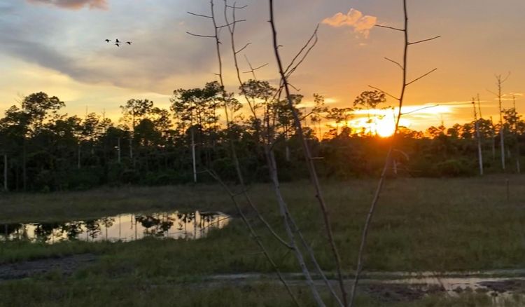 Picayune Access: Driving on the Merritt Berm/Levee